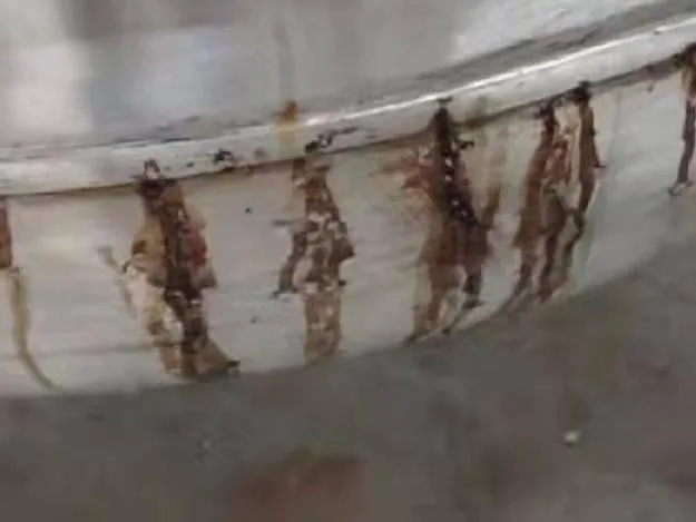 图1 氢氧化物渗入砼结构内部导致的钢筋腐蚀