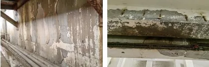 图4 卤碱氛围对混凝土墙面的腐蚀破坏